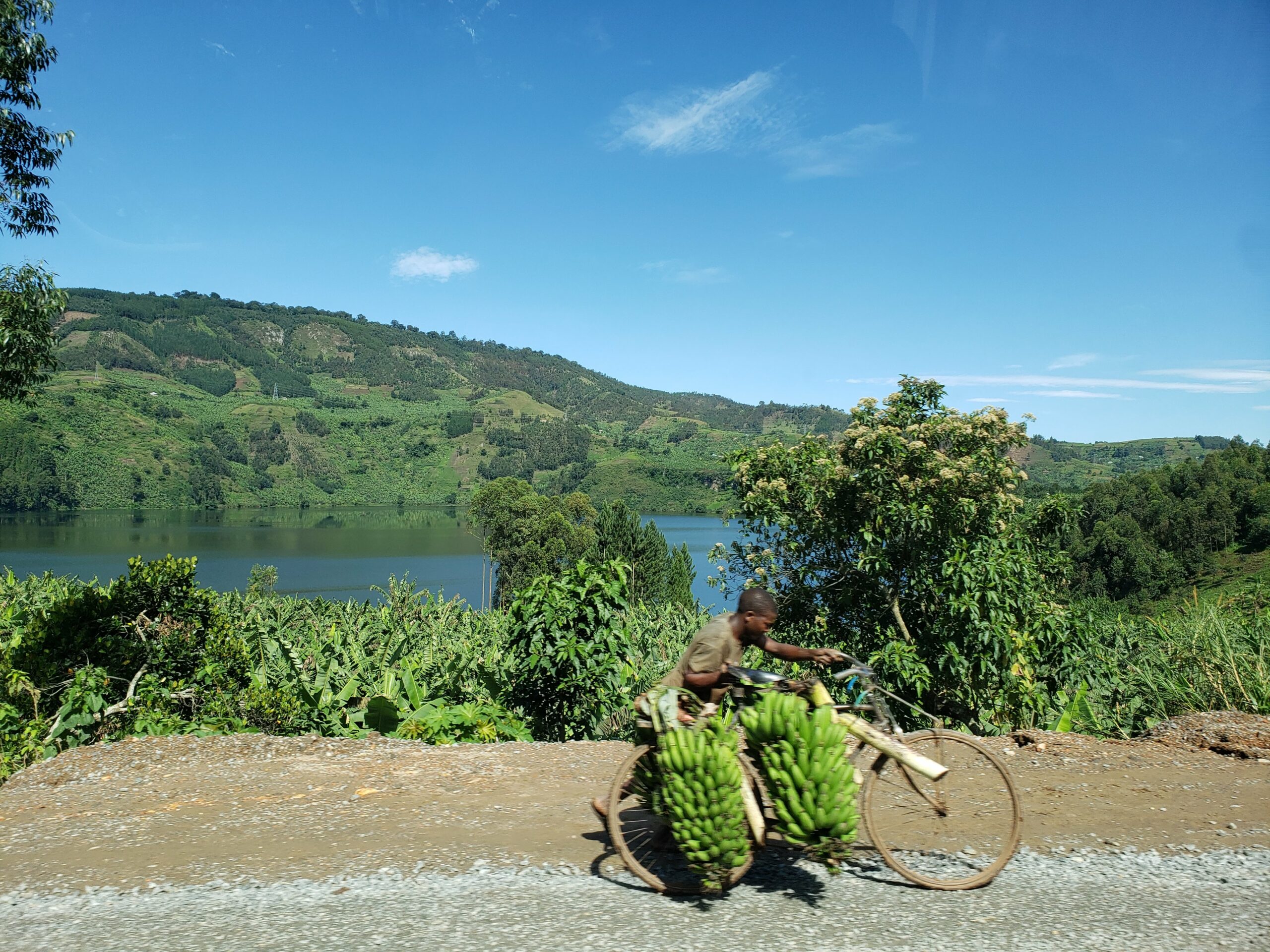 Forest livelihoods in a changing climate