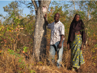 forest property rights